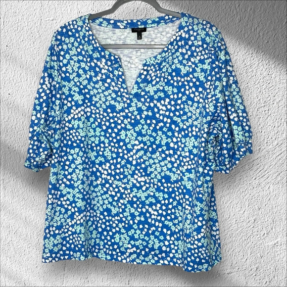 Talbots Plus 2X Floral Popover Blouse‎ Puff Sleeves Cottagecore Coastal Grandma - Picture 1 of 9